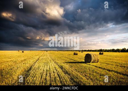 Ein Feld aus goldenen Heuhaufen an einem Herbsttag, beleuchtet von Sonnenlicht und bewölktem Himmel. Vintage-Film-Ästhetik. Ländliche Landschaft. Stockfoto