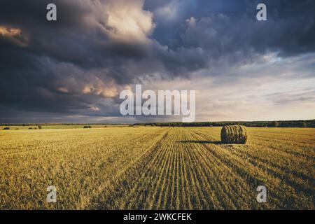 Ein Feld aus goldenen Heuhaufen an einem Herbsttag, beleuchtet von Sonnenlicht und bewölktem Himmel. Vintage-Film-Ästhetik. Ländliche Landschaft. Stockfoto