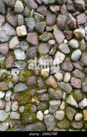 Winzige Felsen, die auf dem Boden verstreut sind Stockfoto