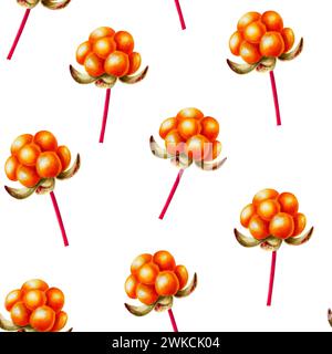 Nahtloses Aquarellmuster mit nördlichen Waldbeeren-Wolkenbeeren-Illlustrationen. Saftige Orangenbeere isoliert auf Hintergrund. ClipArt für Designer, t Stockfoto