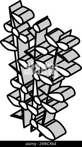 Isometrische Isometrie-Vektorillustration von Geldkraut Seetang Stock Vektor