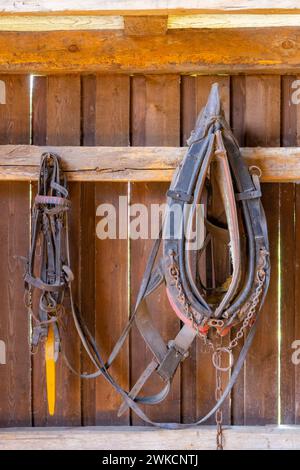 Old Country Farm, Moravska Nova Ves, Südmähren, Tschechische Republik Stockfoto