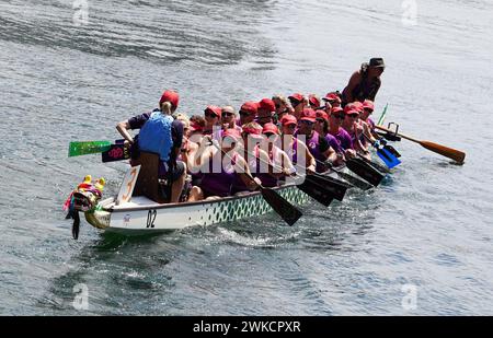 Sydney, Australien. Februar 2024. Die Teilnehmer treten während des Sydney Lunar New Year Dragon Boat Festivals 2024 am 18. Februar 2024 im Darling Harbour in Sydney, Australien, an. ZUM BEISPIEL: Dragon Boat Races, die im sportbegeisterten, multikulturellen Australien Wellen schlagen. Credit: Wang Qi/Xinhua/Alamy Live News Stockfoto