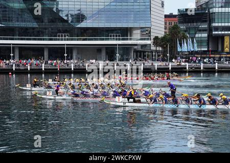 Sydney, Australien. Februar 2024. Die Teilnehmer treten während des Sydney Lunar New Year Dragon Boat Festivals 2024 am 18. Februar 2024 im Darling Harbour in Sydney, Australien, an. ZUM BEISPIEL: Dragon Boat Races, die im sportbegeisterten, multikulturellen Australien Wellen schlagen. Credit: Wang Qi/Xinhua/Alamy Live News Stockfoto