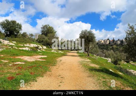 Der wunderschöne Rehavia Park in Jerusalem, Tal des Kreuzes, üppig mit Bäumen Stockfoto