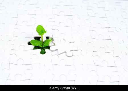 Ein grüner Spross bricht durch ein Loch in einem Puzzleteil und symbolisiert neues Wachstum, Hoffnung und Widerstandsfähigkeit. Stockfoto