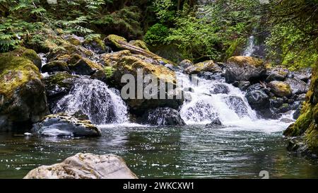 Zwei kleine Wasserfälle fließen aus hellgrünen Büschen über moosige Felsen zu einem hellgrünen Wasserbecken. Stockfoto