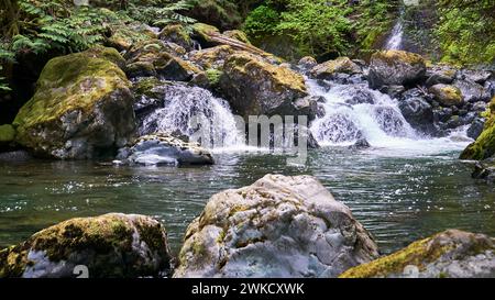 Ein kleiner Wasserfall stürzt durch die Büsche und über moosbedeckte Felsbrocken zu einem grünen Pool. Stockfoto