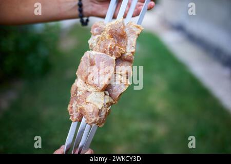 Sommer-Grill im Hinterhof mit handgefertigten Kebabs zum Grillen Stockfoto