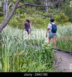 Frauen, die im Sommer auf der Promenade in Kendall Bay laufen, Kauri Point Centennial Loop Track. Auckland. Stockfoto