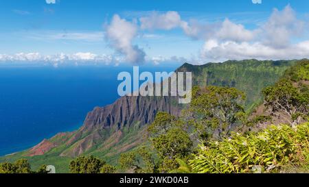 Ein Blick aus der Vogelperspektive auf das Kalalau Valley und die Na Pali Coast vom Kalalau Lookout im Kokee State Park, Hawaii Stockfoto