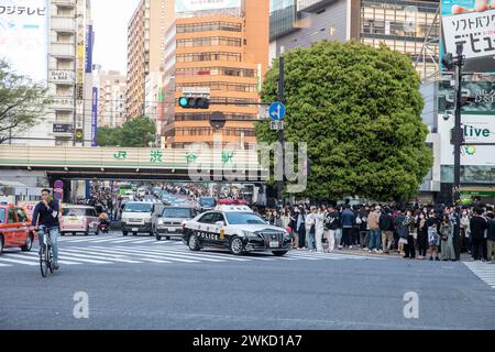 Shibuya Station in Tokio, japanisches Polizeiauto nähert sich Shibuya über Pelikan, Tokio, Japan, Asien, 2023 Stockfoto