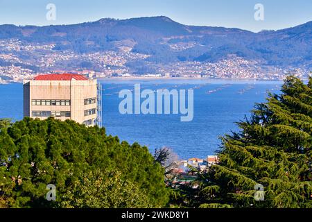 Ria de Vigo, Blick vom Monte do Castro Park, im Hintergrund Muschelfarmen und die Gemeinde Moaña im Morrazo, Vigo, Pontevedra, Galici Stockfoto