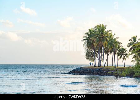 Menschen, die entlang des von Palmen gesäumten Wassers am Eingang zum Dixon Inlet und Port Douglas im Norden von Queensland, Australien, spazieren Stockfoto