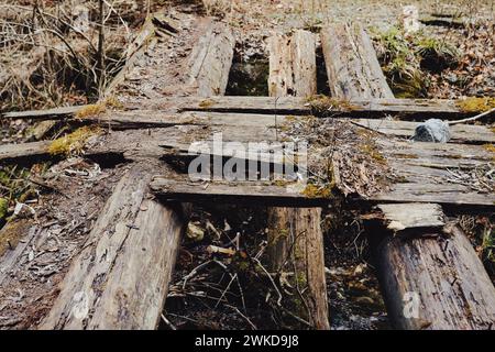 Eine alte Holzbrücke überspannt einen kleinen Fluss, der von einem umgefallenen Baumzweig blockiert wird Stockfoto