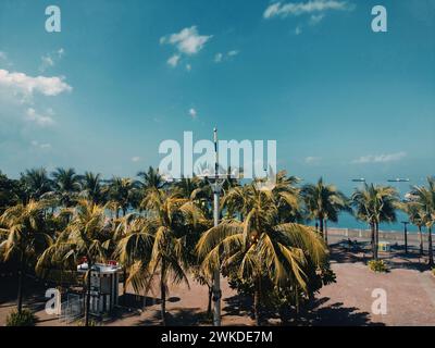 Tropischer Strand mit Kokospalmen unter einem sonnigen blauen Himmel mit flauschigen Wolken Stockfoto