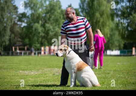 Mai 2023. Weißrussland, Gomilski-Stadion. Ein Besitzer mit einem Hund auf einer Hundeshow. Stockfoto