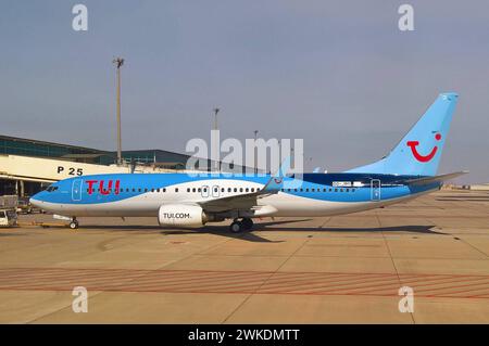 Flugzeug der TUI TUIfly, Typ Boeing 737-800 auf Fuerteventura, Kanaren, Spanien *** TUI TUIfly Flugzeug, Typ Boeing 737 800 auf Fuerteventura, Kanarischen Inseln, Spanien Stockfoto