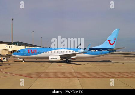 Flugzeug der TUI TUIfly, Typ Boeing 737-800 auf Fuerteventura, Kanaren, Spanien *** TUI TUIfly Flugzeug, Typ Boeing 737 800 auf Fuerteventura, Kanarischen Inseln, Spanien Stockfoto