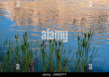 CHAMA RIVER REFLECTION, ABIQUIU, NM, USA Stockfoto