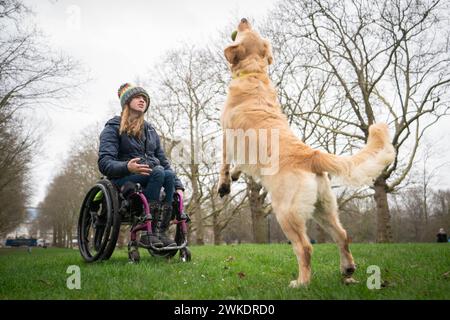 Finalist des Crufts Canine Held Award Golden Retriever Phoebe mit Besitzer Jazz Turner, bei einer Einführungsveranstaltung für das Crufts 2024 in Green Park, London. Bilddatum: Dienstag, 20. Februar 2024. Stockfoto