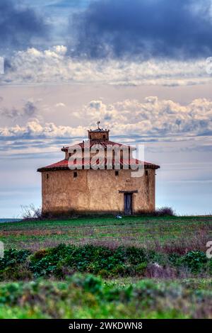 Alte Taube in den Lagunen von Villafafila, Zamora. Spanien. Stockfoto