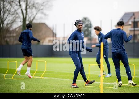 Gent, Belgien. Februar 2024. Gents Jorthy Mokio wurde während eines Trainings des belgischen Fußballvereins KAA Gent am Dienstag, den 20. Februar 2024 in Gent gezeigt. Das Team bereitet sich auf das morgige Spiel gegen das israelische Fußballteam Maccabi Haifa vor, das Rückspiel der Play-offs-Phase des UEFA Conference League-Wettbewerbs (1:0-Ergebnis im ersten Leg). BELGA FOTO JASPER JACOBS Credit: Belga News Agency/Alamy Live News Stockfoto