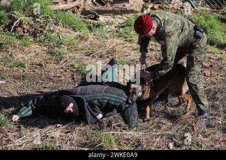 Zagreb, Kroatien. Februar 2024. Ein kroatischer Soldat mit seinem Hund führt eine Übung während des 30. Jahrestages der Gründung des 1. Kroatischen Gardekorps und des Tages des Ehrenbataillons in Zagreb, Kroatien, am 20. Februar 2024 durch. Foto: Tomislav Miletic/PIXSELL Credit: Pixsell/Alamy Live News Stockfoto