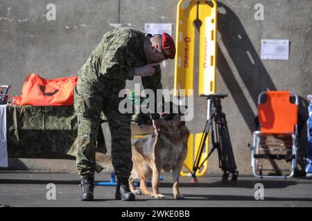 Zagreb, Kroatien. Februar 2024. Ein kroatischer Soldat mit seinem Hund führt eine Übung während des 30. Jahrestages der Gründung des 1. Kroatischen Gardekorps und des Tages des Ehrenbataillons in Zagreb, Kroatien, am 20. Februar 2024 durch. Foto: Tomislav Miletic/PIXSELL Credit: Pixsell/Alamy Live News Stockfoto