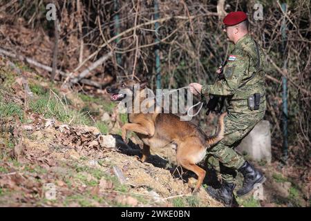 Zagreb, Kroatien. Februar 2024. Ein kroatischer Soldat mit seinem Hund führt eine Übung während des 30. Jahrestages der Gründung des 1. Kroatischen Gardekorps und des Tages des Ehrenbataillons in Zagreb, Kroatien, am 20. Februar 2024 durch. Foto: Tomislav Miletic/PIXSELL Credit: Pixsell/Alamy Live News Stockfoto