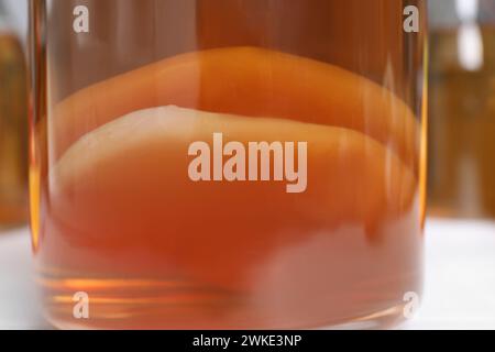 Hausgemachte fermentierte Kombucha mit Pilzpilzen im Glas auf verschwommenem Hintergrund, Nahaufnahme Stockfoto