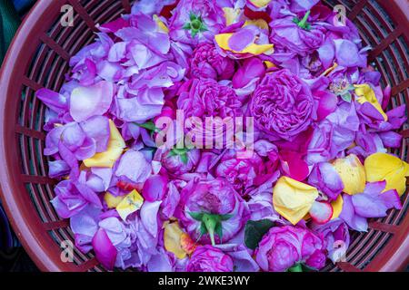 mercado de flores frente a la Iglesia de Santo Tomás, Chichicastenango, Quiché, Guatemala, Zentralamerika. Stockfoto