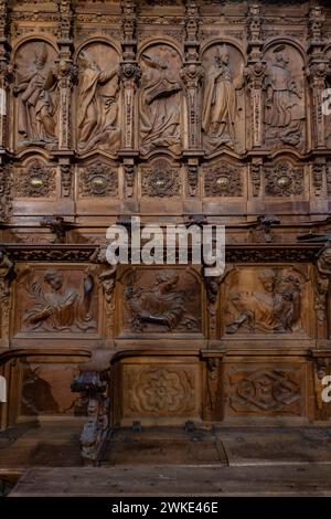 Coro, Catedral de la Asunción de la Virgen, Salamanca, Comunidad Autónoma de Castilla y León, Spanien. Stockfoto