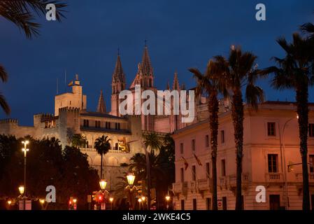 Kathedrale La Seu am Passeig de Sagrea, nachts, Palma de Mallorca, Balearen, Spanien, Europa Stockfoto