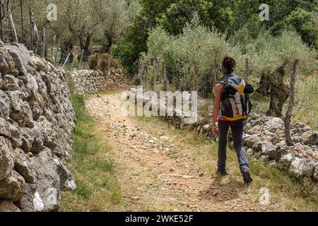 camino de costa d'en Nicó, Fornalutx, Mallorca, Balearen, Spanien. Stockfoto
