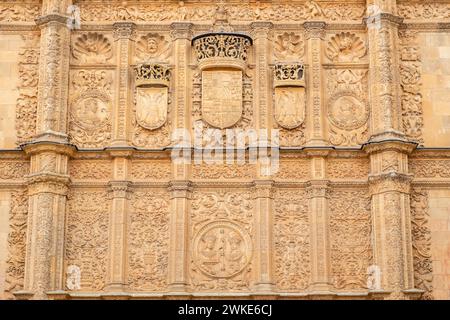 Fachada de la Universidad de Salamanca, 1529, estilo plateresco, Salamanca, comunidad Autónoma de Castilla y León, Spanien. Stockfoto