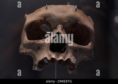 Infantiles splanchnocranium, Homo sapiens, Lower Magdalenian, El Pendo, Escobedo, Camargo, Museum für Urgeschichte und Archäologie (MUPAC), Santander, Kantabrien, Spanien. Stockfoto