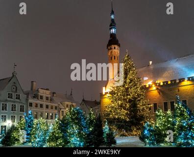 Raekoja Plats, Rathausplatz, in Tallinn an einer Winternacht mit dem weihnachtsbaum und Lichtern Stockfoto