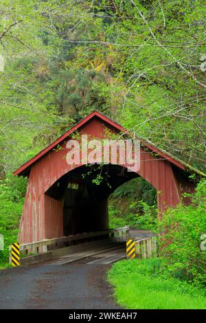 North Fork Ruhestand River Bridge, Lincoln County, Oregon abgedeckt Stockfoto