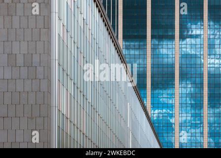 Nahaufnahme des botanischen Wolkenkratzers mit Details zum Glas und Symmetrie Stockfoto