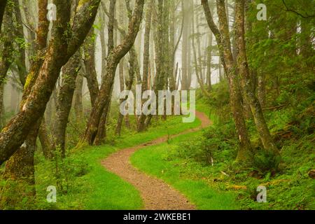 Cascade Kopf Trail, Cascade Kopf zu bewahren, Oregon Stockfoto