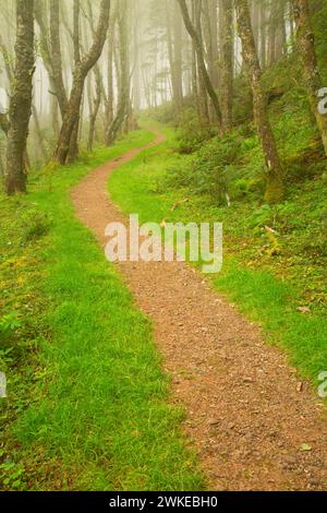 Cascade Kopf Trail, Cascade Kopf zu bewahren, Oregon Stockfoto