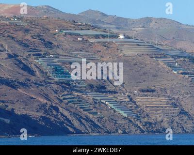 CULTIVO EN TERRAZAS EN MONTAÑAS AL BORDE DEL MAR -. Lage: AUSSEN. Adrá. Almería. SPANIEN. Stockfoto