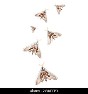 Aquarell fliegende Motten blau braun. Isolierte handgezeichnete Illustration NachtSchmetterling mit Ornament, wilde Insekten. Vorlagenzeichnung für Karte, pac Stockfoto