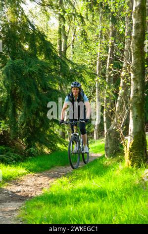 Mountainbikerinnen auf einer sanften Fahrt im Gisburn Forest, Lancashire, England Stockfoto