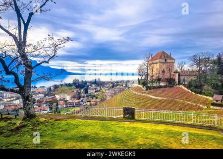 Blick auf Montreaux und den Genfer See vor dem Hügel, Westschweiz Stockfoto