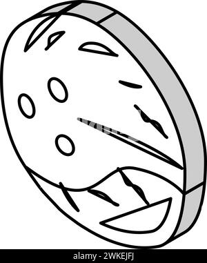 Kokosnussbraun isometrische Icon Vektor-Illustration Stock Vektor