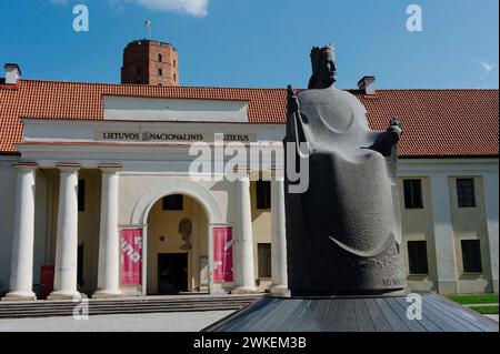 © Jan Schmidt-Whitley/Le Pictorium/MAXPPP - Vilnius 19/02/2024 Jan Schmidt-Whitley/Le Pictorium - 19/02/2024 - lituanie/les Pays baltes/Vilnius - Tour de Gediminas a Vilnius avec en Premier Plan, Le musee national de Vilnius. La Tour EST le dernier vestige du Chateau de Vilnius. Gediminas EST le fondateur de Trakai et de Vilnius, et l'un des plus feiert souverains de l'ancienne Lituanie.Il a vecu de 1275 a 1341 et a regne sur le Grand-duche de Lituanie Anhänger 25 ans. - Valeurs Actuelles out, no jdd, jdd out, RUSSIA OUT, NO RUSSIA #norussia/19/02/2024 - litauen/baltische Länder Stockfoto