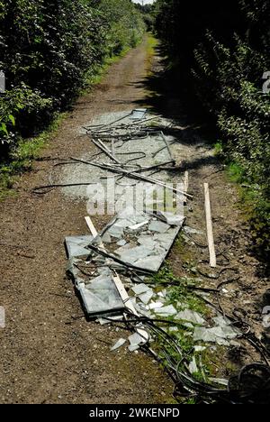 Fliegen Sie auf einem öffentlichen Weg. Stockfoto