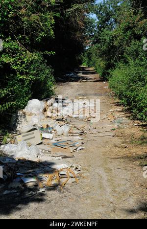 Fliegen Sie auf einem öffentlichen Weg. Stockfoto